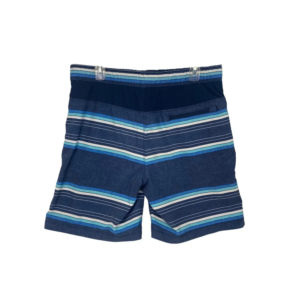 Speedo Swim Trunks Men's Medium Blue Striped Lined Swim Shorts